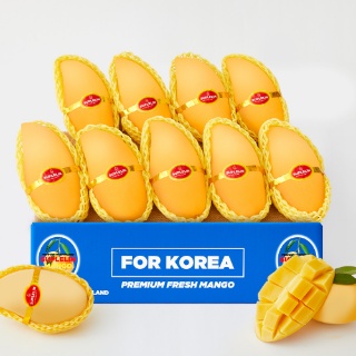 더팔로우 공동구매 브랜드